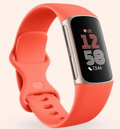 Smartwatch modelo Fit Bit Charge 6 de Google.